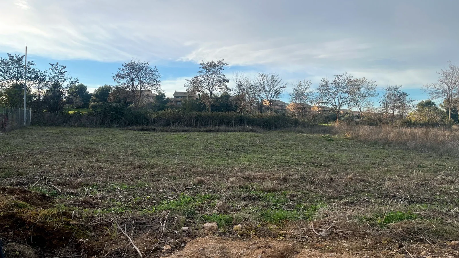 Parcela desbrozada con la hierba cortada a ras junto a una urbanización