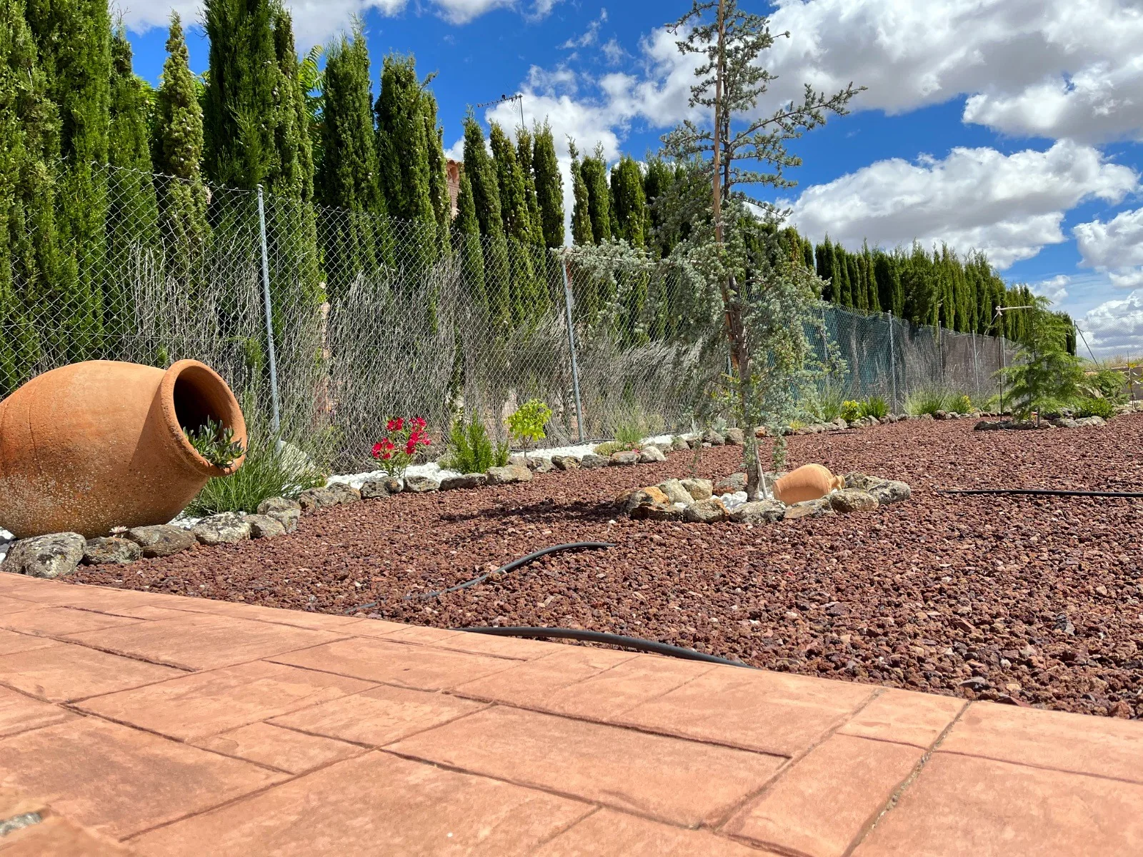Jardín de grava volcánica con ánfora de barro, riego por goteo y seto de cipreses